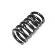 Ft Coil Springs Fwd